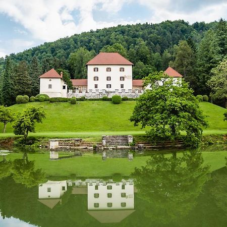 Grad Strmol Villa Cerklje na Gorenjskem Eksteriør bilde