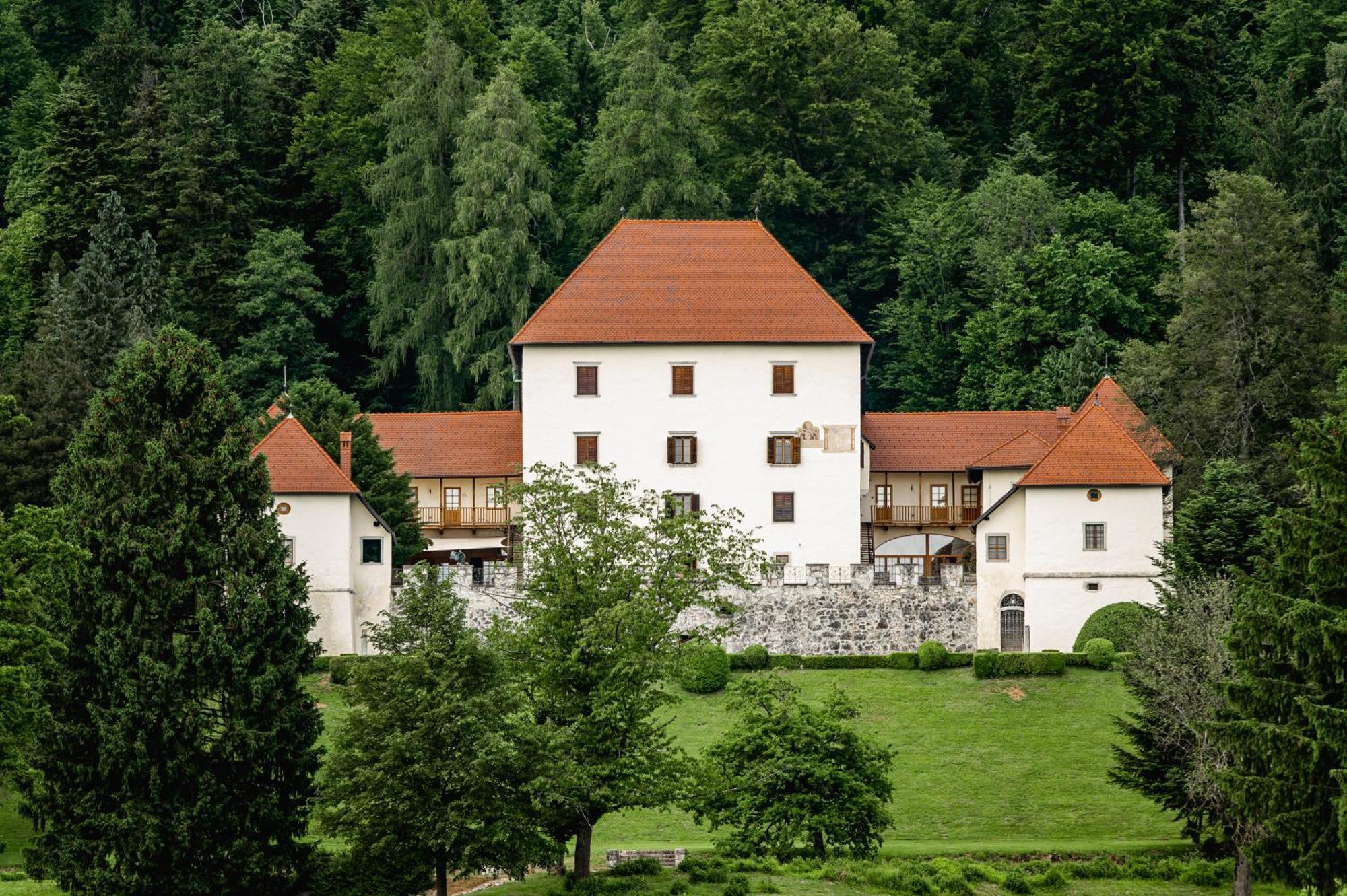 Grad Strmol Villa Cerklje na Gorenjskem Eksteriør bilde